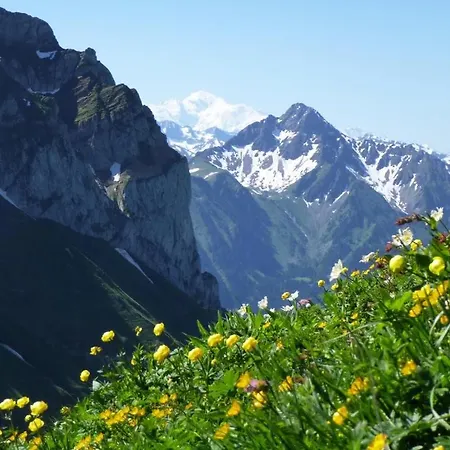 La Montagnarde Des Sapins Blancs Affittacamere 3*